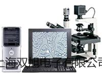 ���p���ơ��Ϻ��S�M�h�t����ٸ�����YHG.300-S�S��