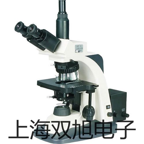 ���p���ơ�IMPULSE200����LTI����y��/�y�߃x��IMPULSE200�N��