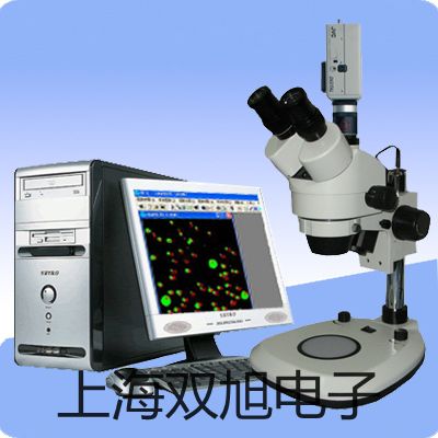 ���p���ơ������ƽCAV412�N(xi��o)��