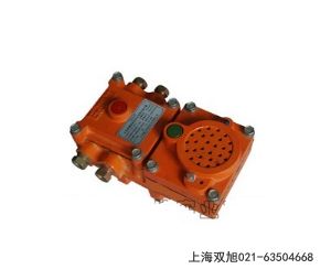 DBSG-06A���(b��o)����