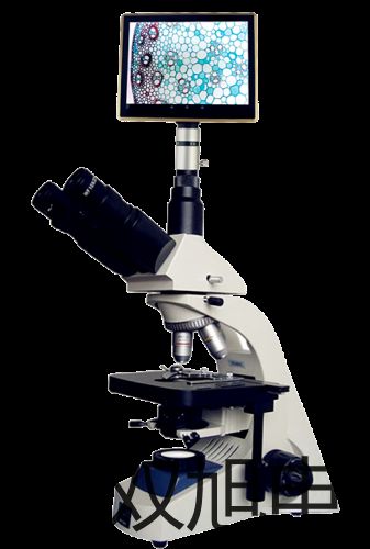 ���p���ơ�UF-04�^(gu��)�V���r(ji��)�� 